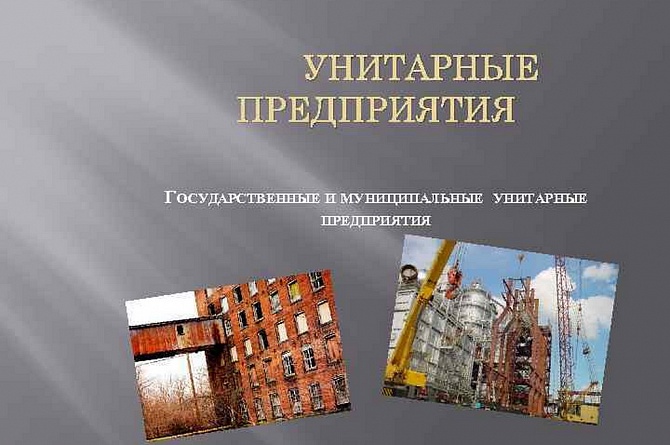 Государственные и муниципальные унитарные предприятия могут быть ликвидированы или реорганизованы по решению учредителя в срок до 01.01.2021 года
