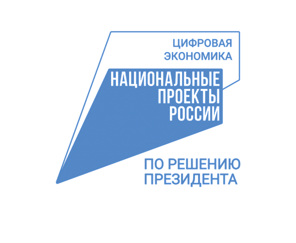 Подведены итоги реализации нацпроекта «Цифровая экономика» в Пензенской области